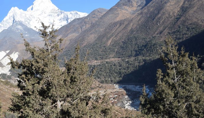 A kind request from Sagarmatha National Park Nepal