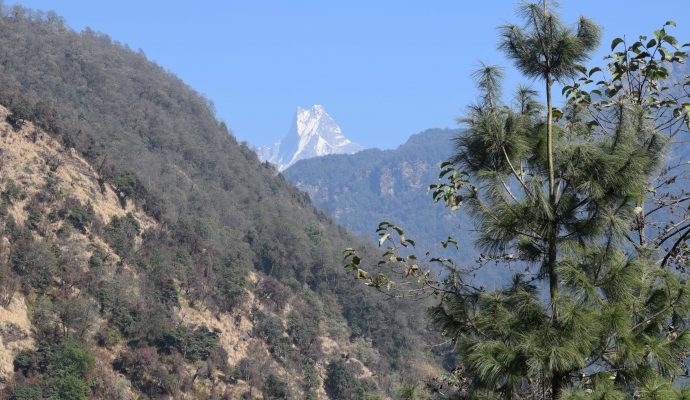 Daman Tour