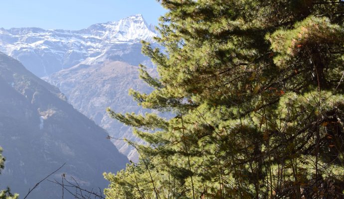 Mardi Himal Trek