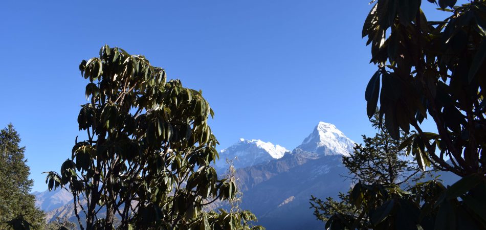 Nagarkot Kakani tour - Nepal