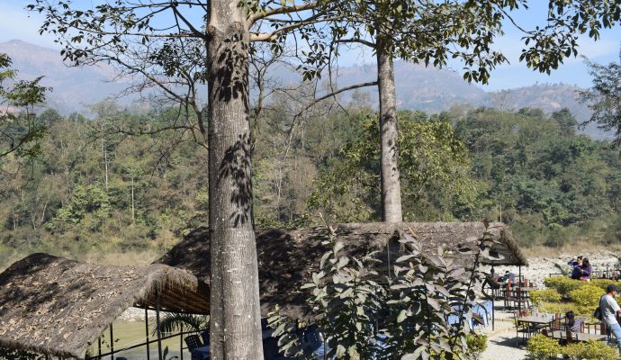 Chitwan National Park