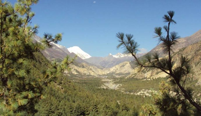 Simikot Kailash Lhasa Tour