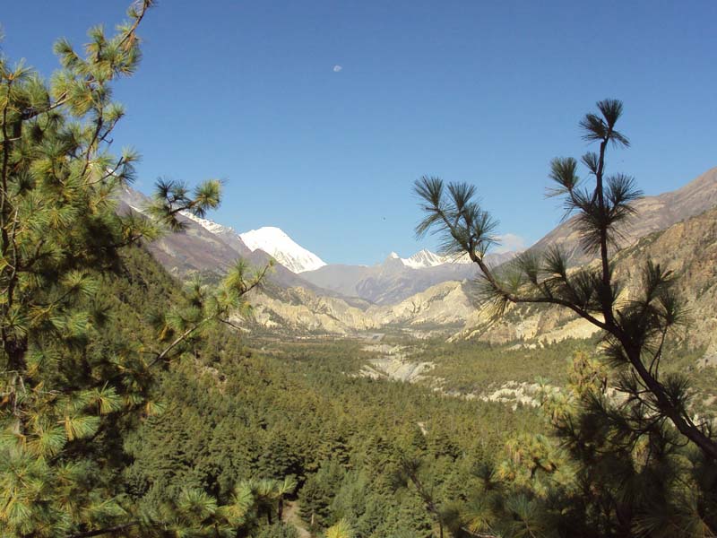 Simikot Kailash Lhasa Tour