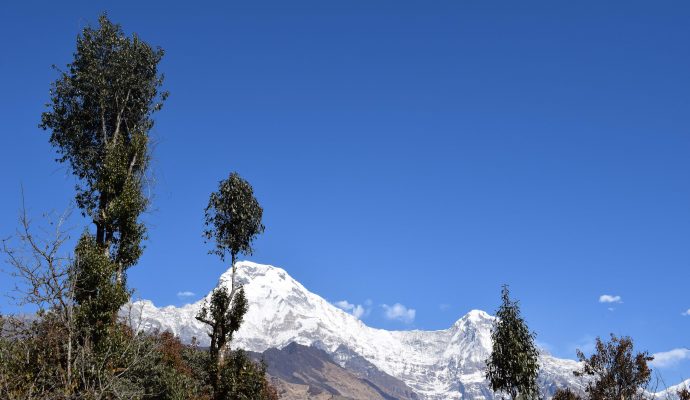 Laya Gasa Trekking