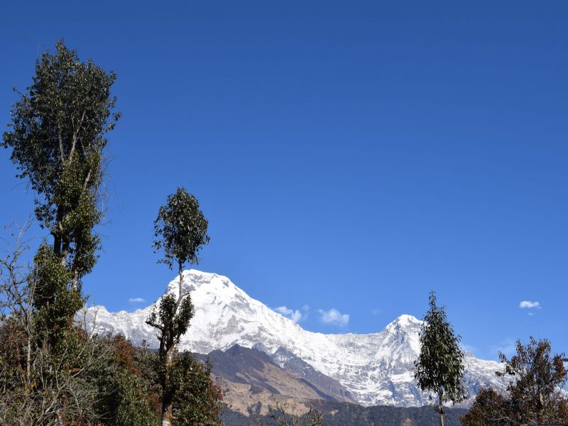 Laya Gasa Trekking